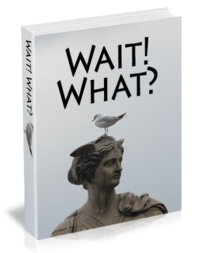 Wait! What? Create your Author website today!